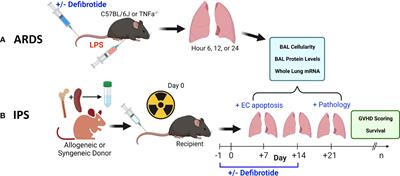 Defibrotide modulates pulmonary endothelial cell activation and protects against lung inflammation in pre-clinical models of LPS-induced lung injury and idiopathic pneumonia syndrome